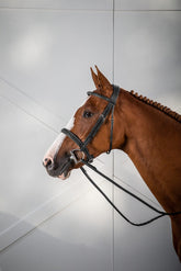 Dy'on US Hunter Collection Cavesson Hunter Noseband Bridle